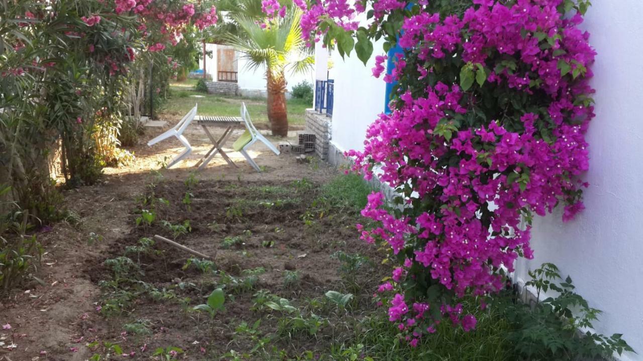 Alfa Apartments Bodrum Екстериор снимка