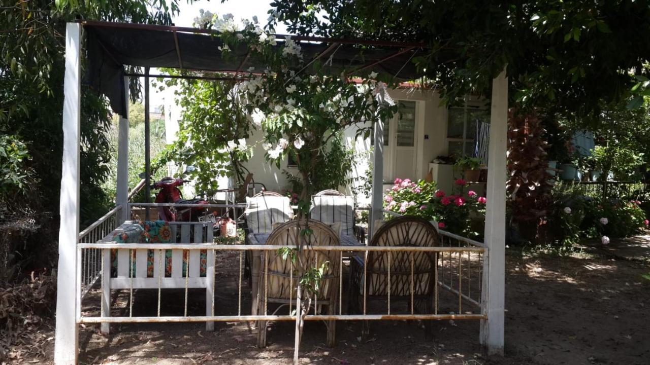 Alfa Apartments Bodrum Екстериор снимка